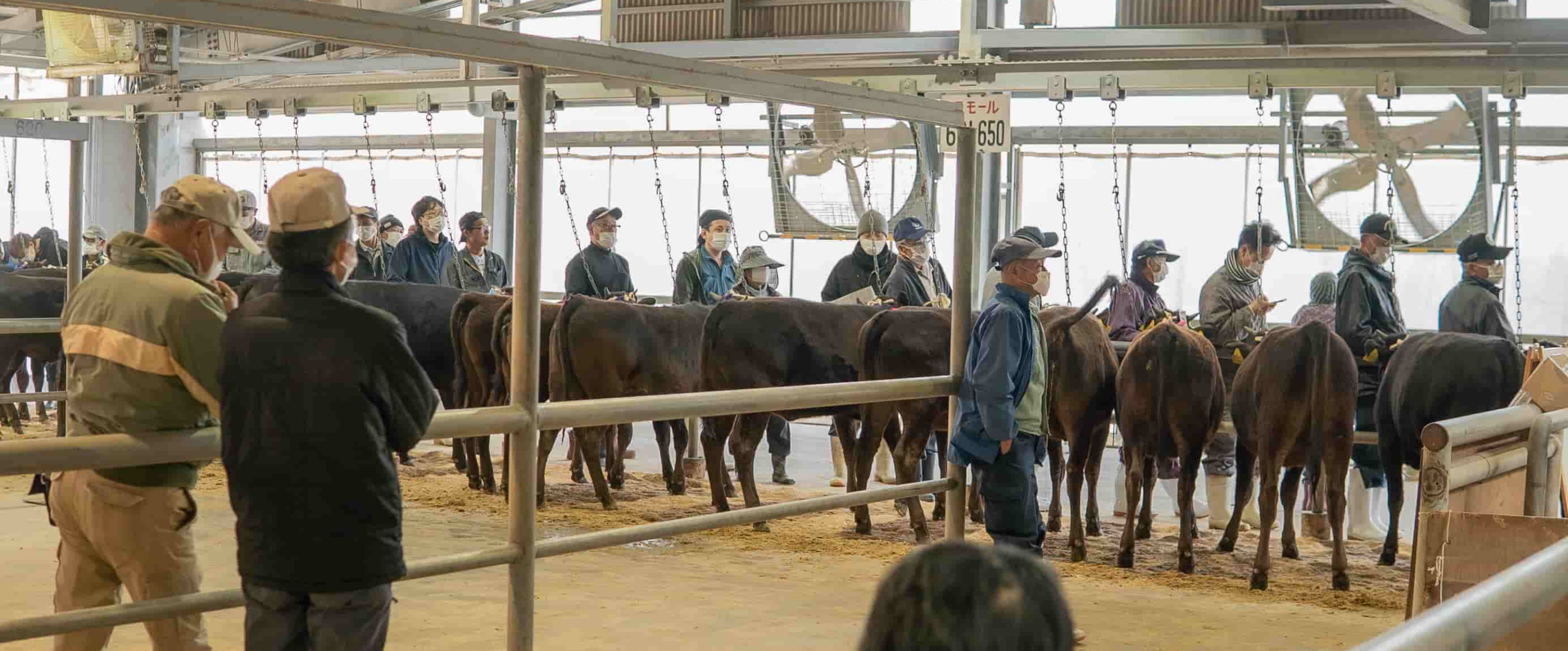 よい肉はよい牛からよい牛はよい人からよい人はよい心から