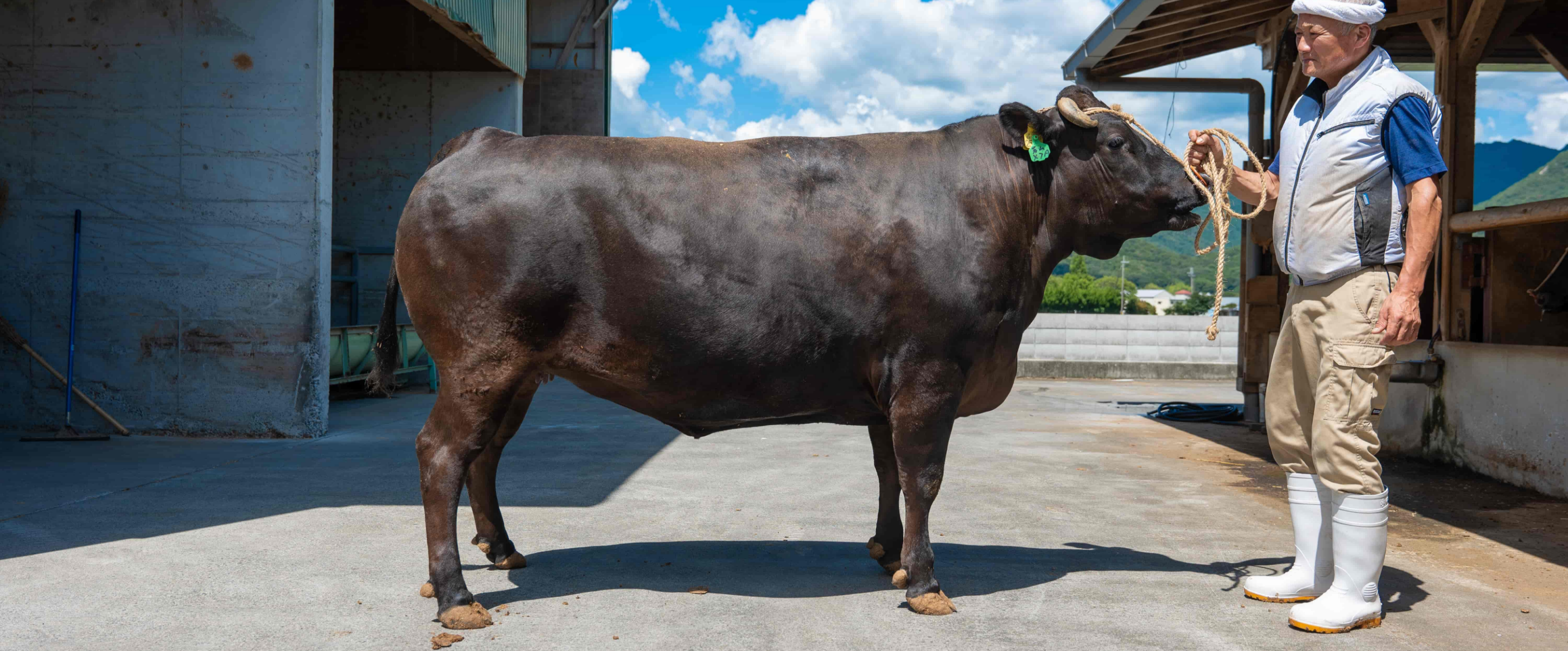 よい肉はよい牛からよい牛はよい人からよい人はよい心から