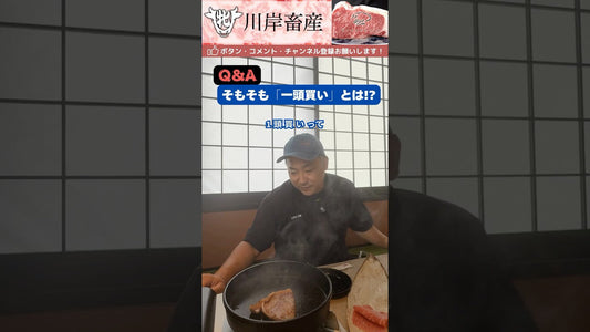 「1頭買い」とは！？