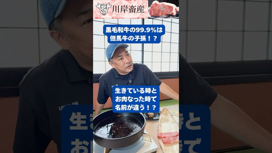 黒毛和牛の99.9%は？！