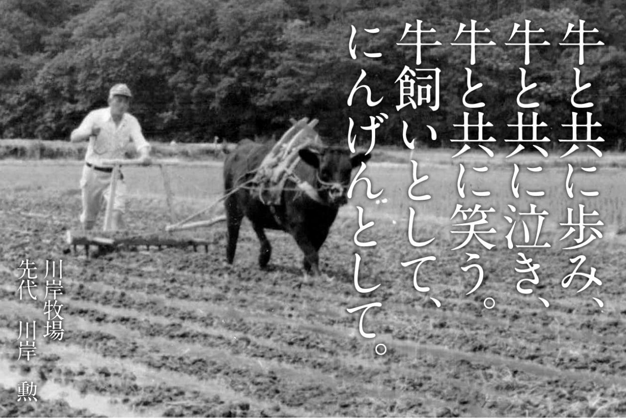 自社牧場である「川岸牧場」の神戸ビーフを中心に厳選された「牝牛」のみを取り扱っております。